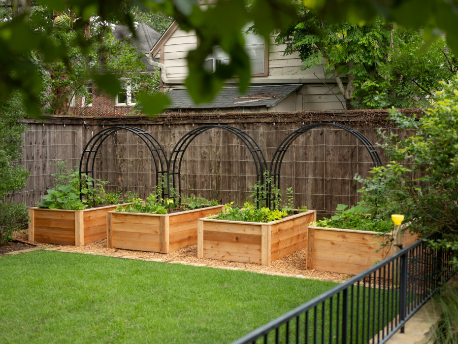 Raised garden beds and backyard planting